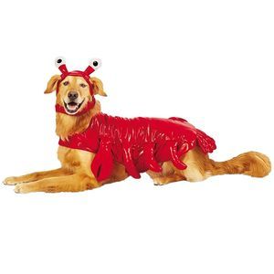 Hyde & EEK! Boutique Lobster Dog and Cat Costume - Large